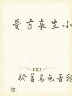 爱有来生小说