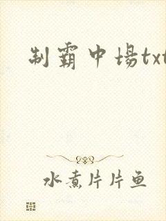 制霸中场txt