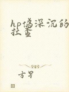 hp伪深沉的萨拉查