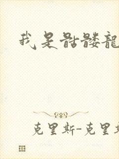 我是骷髅龙骑兵