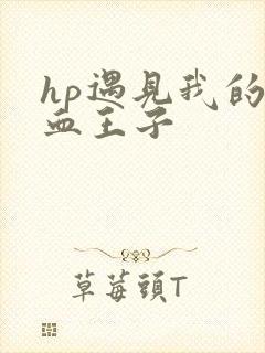 hp遇见我的混血王子