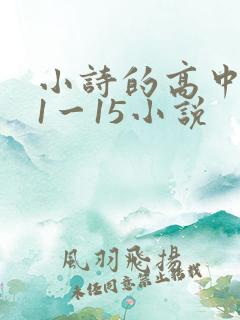 小诗的高中日记1一15小说