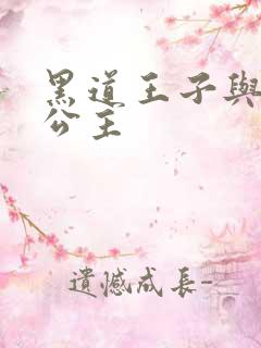 黑道王子与冰山公主