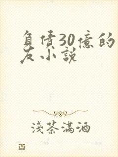 负债30亿的男友小说