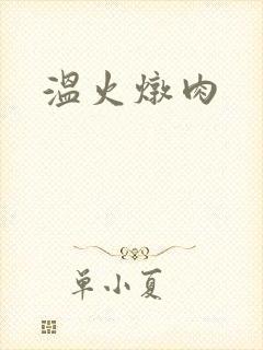温火炖肉