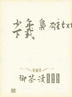 少年枭雄txt下载