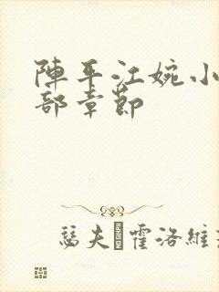 阵平江婉小说全部章节