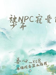 被NPC宠爱的少年