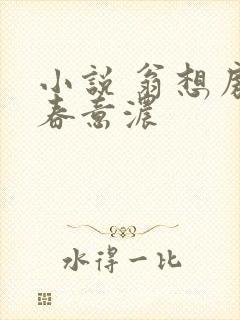 小说 翁想房中春意浓