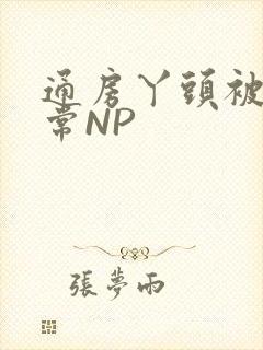 通房丫头被肉日常NP