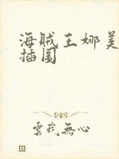 海贼王娜美被轮插图