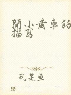 开小黄车的细腻描写