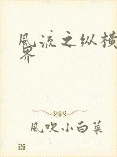 风流之纵横娱乐界