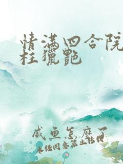 情满四合院之傻柱猎艳