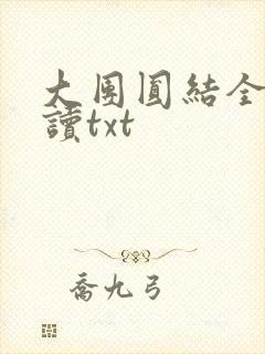 大团圆结全文阅读txt