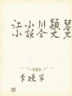 江小川颖儿穿越小说全文免费阅读