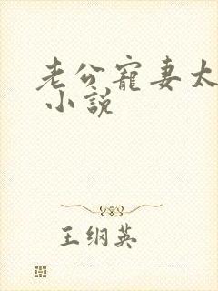 老公宠妻太甜蜜 小说