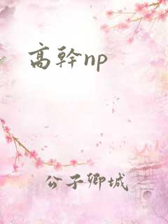 高干np