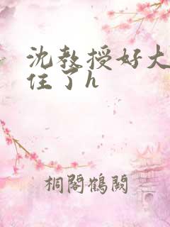 沈教授好大含不住了h