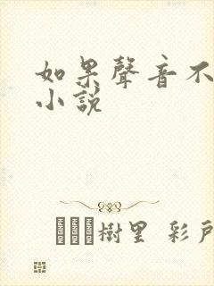 如果声音不记得小说