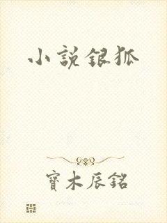 小说银狐
