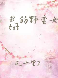 我的野蛮女上司txt