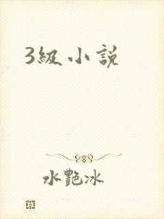 3级小说