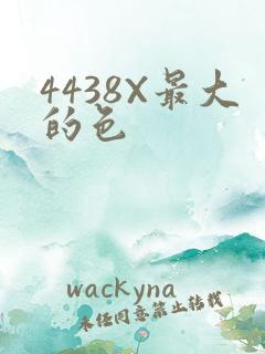 4438X最大的色