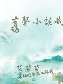 有声小说藏地密码