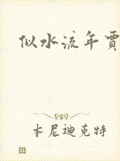 似水流年贾二虎