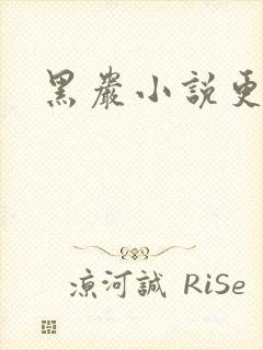 黑岩小说更新吧