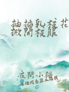 抽插乳校花老师掀开校服