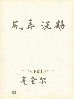 风弄 洗劫