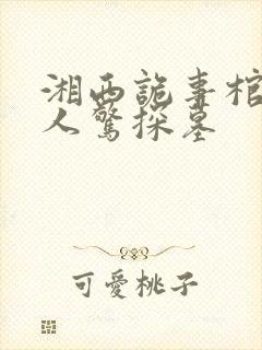 湘西诡事棺山道人惊探墓