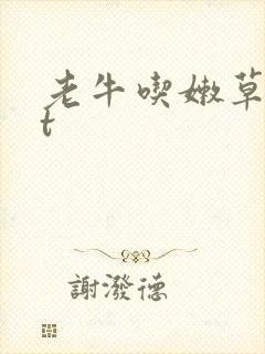 老牛吃嫩草txt