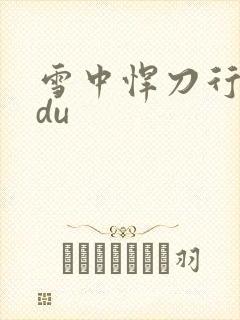 雪中悍刀行sodu