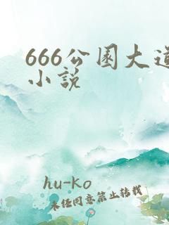666公园大道小说