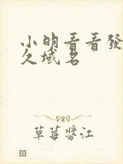 小明看看发布永久域名