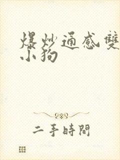 爆炒通感双胞胎小狗