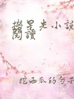 捞星光小说免费阅读