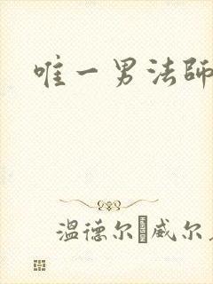 唯一男法师
