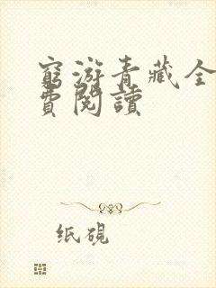 穷游青藏全文免费阅读