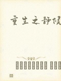 重生之静候锦年