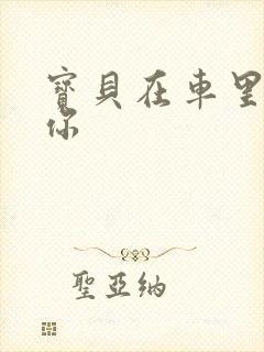 宝贝在车里想要你