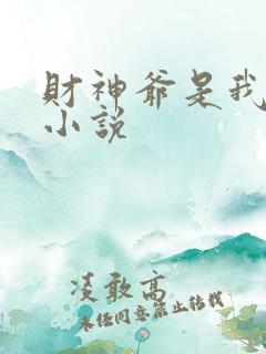 财神爷是我老板小说
