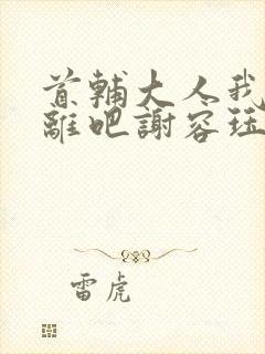 首辅大人我们和离吧谢容珏