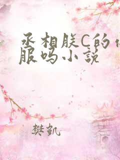 丞相朕C的你舒服吗小说