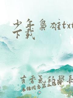 少年枭雄txt下载