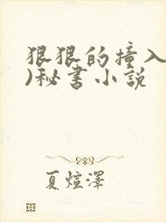 狠狠的撞入(h)秘书小说