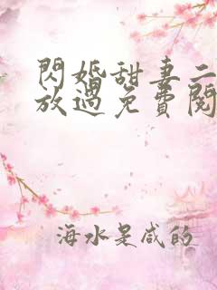 闪婚甜妻二爷求放过免费阅读